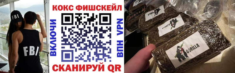 Купить где  Сковородино  COCAIN Fish Scale 