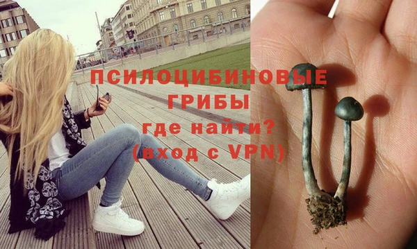 мяу мяу мука Армянск