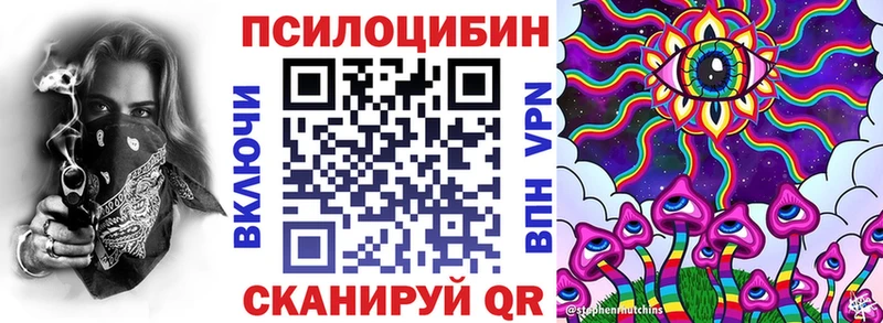 Купить  Сковородино  Галлюциногенные грибы Cubensis 